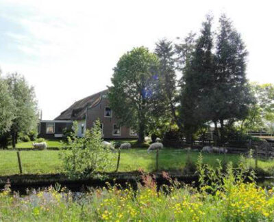 https://nieuw.zorgboerderijzoetermeer.nl/wp-content/uploads/2025/08/locatie-hazerswoude-400x325.jpg
